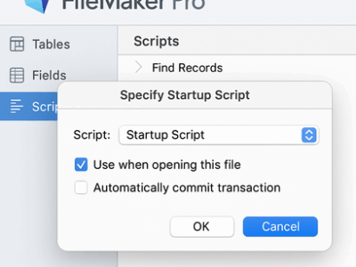 FileMaker起動時スクリプト設定の基本