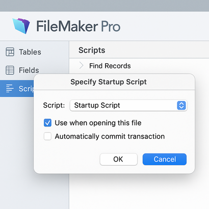 FileMaker起動時スクリプト設定の基本